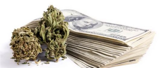 cannabis banking