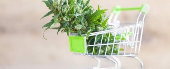 Marijuana payment processing options.